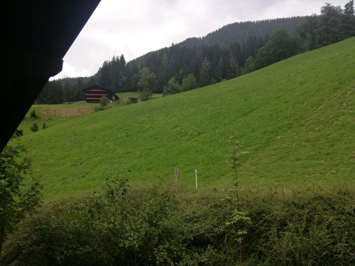 Appartements Zellner Alpbach Luaran gambar
