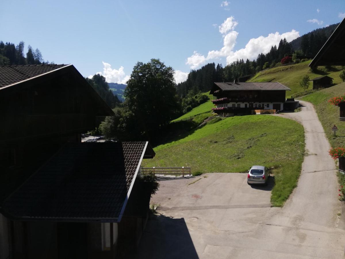 Appartements Zellner Alpbach Luaran gambar